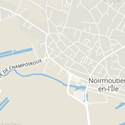 Plan Du Cadastre De La Ville De Noirmoutier En L Ile France Cadastre